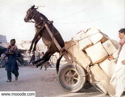 ah hada baghi  itir ghadi l3ira9